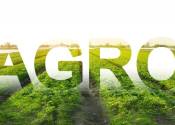 SNAG11 lança 4ª Emissão de Cotas com potencial de captação de R$ 352 Milhões