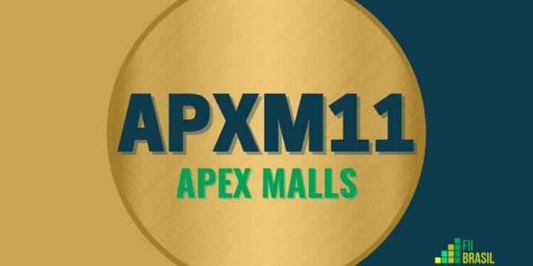 APXM11 APEX MALLS