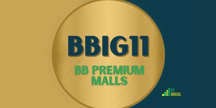 BBIG11 BB Premium Malls