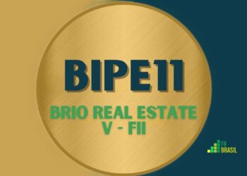 BIPE11 BRIO REAL ESTATE V - FII
