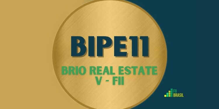 BIPE11 BRIO REAL ESTATE V - FII