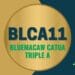 BLCA11 BLUEMACAW CATUA TRIPLE A