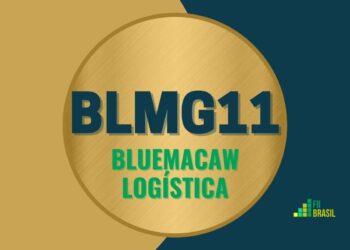 BLMG11 Bluemacaw Logística