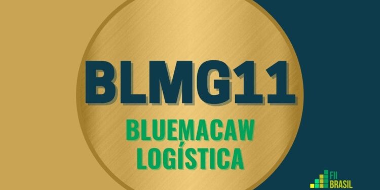 BLMG11 Bluemacaw Logística
