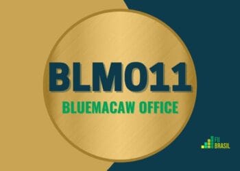 BLMO11 Bluemacaw Office