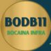 BODB11 BOCAINA INFRA