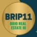 BRIP11 Brio Real Estate III