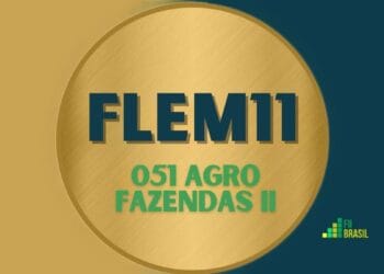FLEM11 051 AGRO FAZENDAS II