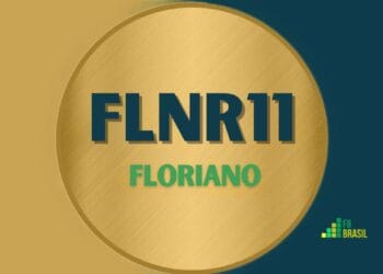 FLNR11 FLORIANO