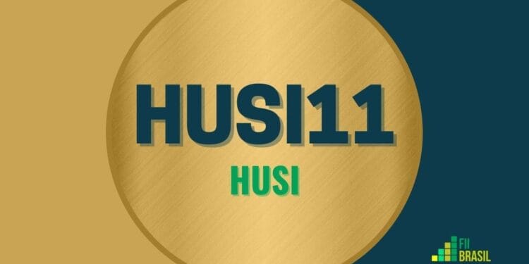 HUSI11 Husi