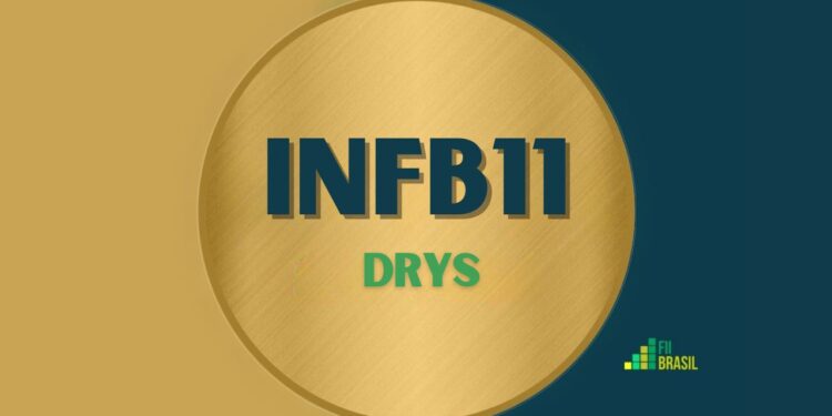 INFB11 DRYS