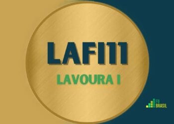 LAFI11 LAFI11