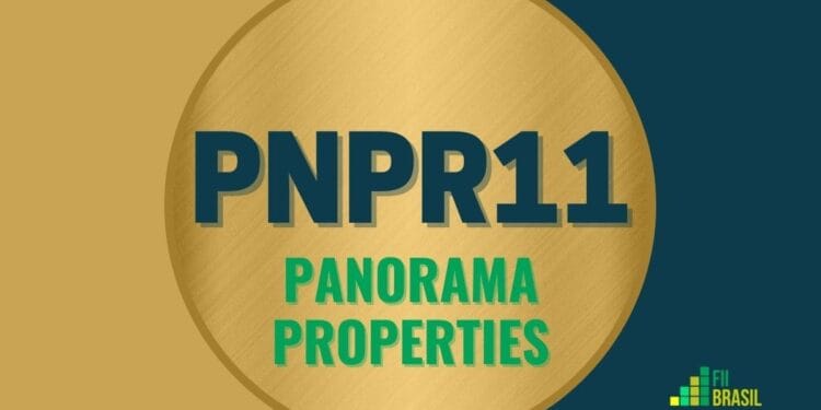 PNPR11 Panorama Properties