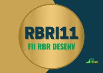 RBRI11 FII RBR DESENV
