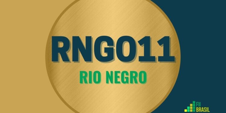 RNGO11 Rio Negro