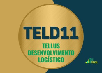 TELD11 Tellus desenvolvimento Logístico