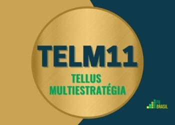 TELM11 TELLUS MULTIESTRATÉGIA