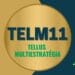 TELM11 TELLUS MULTIESTRATÉGIA