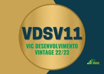 VDSV11 VIC DESENVOLVIMENTO VINTAGE 22/23
