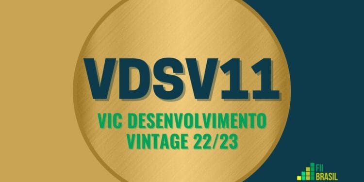 VDSV11 VIC DESENVOLVIMENTO VINTAGE 22/23